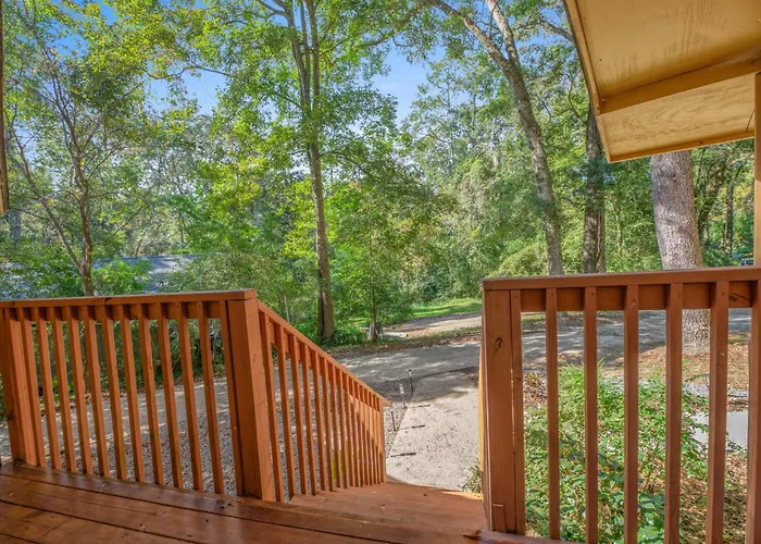 Charming 4bd With Bbq & Backyard - Near Fsu, A&m * Tallahassee